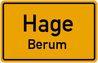Heckenweg in HageBerum