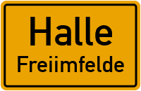 Straße C in HalleFreiimfelde