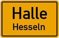 Neue Hessel in HalleHesseln