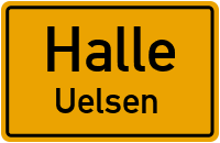 Waldweg in HalleUelsen
