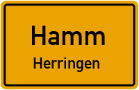 Spenglerstraße in 59067 Hamm (Herringen)