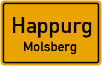 Molsberg in HappurgMolsberg