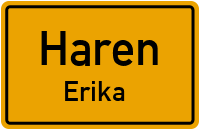 Röchlingstraße in 49733 Haren (Erika)