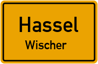 Birkenstraße in HasselWischer