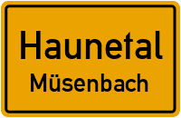 Bachstraße in HaunetalMüsenbach