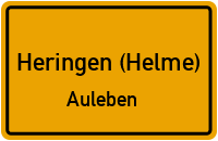 Neuer Weg in Heringen (Helme)Auleben