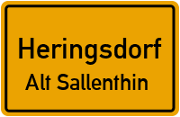 Alt-Sallenthin in HeringsdorfAlt Sallenthin