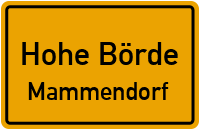 Schmale Seite in Hohe BördeMammendorf