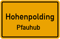 Straßen in Hohenpolding Pfauhub