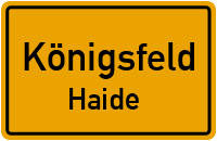 Haide in KönigsfeldHaide
