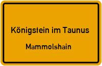 Oberstraße in Königstein im TaunusMammolshain