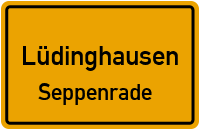 Korbmacherweg in 59348 Lüdinghausen (Seppenrade)