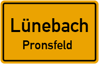 Bahnhofstraße in LünebachPronsfeld