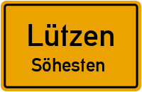 Walter-Biering-Straße in LützenSöhesten