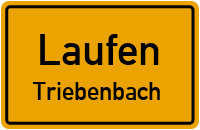 Triebenbach in LaufenTriebenbach