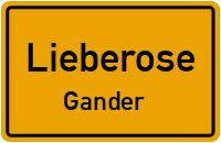Gander in LieberoseGander