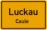 Caule in LuckauCaule
