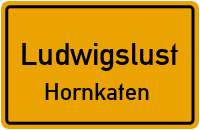 Waldstück in LudwigslustHornkaten