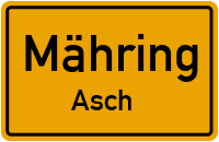 Asch in MähringAsch
