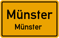 Amrumer Straße in MünsterMünster