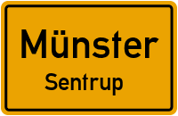 Treppe in MünsterSentrup
