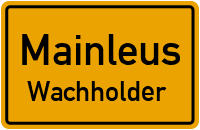 Wachholder in 95336 Mainleus (Wachholder)