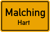 Hart in MalchingHart