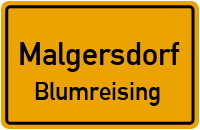 Straßen in Malgersdorf Blumreising