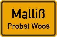 Probst Wooser Straße in MallißProbst Woos