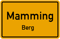 Sommershausener Straße in MammingBerg