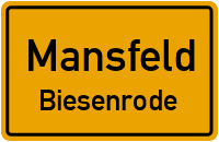 Dorfstraße Biesenrode in MansfeldBiesenrode