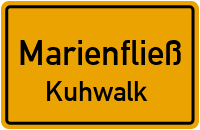 Kuhwalk in MarienfließKuhwalk
