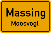 Moosvogl in MassingMoosvogl