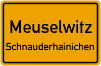 Straße Der Einheit in MeuselwitzSchnauderhainichen