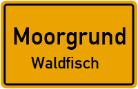 Kisselstraße in 36433 Moorgrund (Waldfisch)