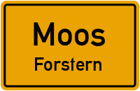 Forstern in MoosForstern