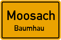 Baumhau in MoosachBaumhau