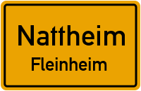 Fleinheim