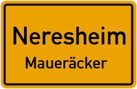 Maueräcker in NeresheimMaueräcker