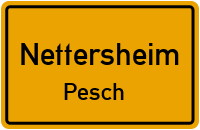 Zingsheimer Straße in 53947 Nettersheim (Pesch)