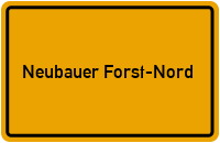 Buchenallee in Neubauer Forst-Nord