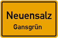 Dorfstraße in NeuensalzGansgrün