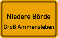 Große Schulstraße in 39326 Niedere Börde (Groß Ammensleben)