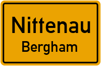 Berghamer Straße in 93149 Nittenau (Bergham)
