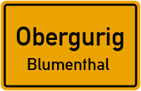 Blumenthal in ObergurigBlumenthal