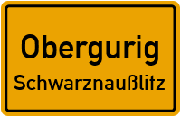 Schlungwitzer Straße in ObergurigSchwarznaußlitz