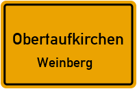 Weinberg in ObertaufkirchenWeinberg