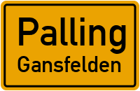 Straßen in Palling Gansfelden