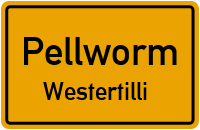 Süderkoogweg in PellwormWestertilli