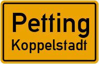 Koppelstadt in PettingKoppelstadt